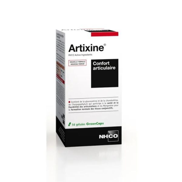 Nhco Artixine B/56 Gelules